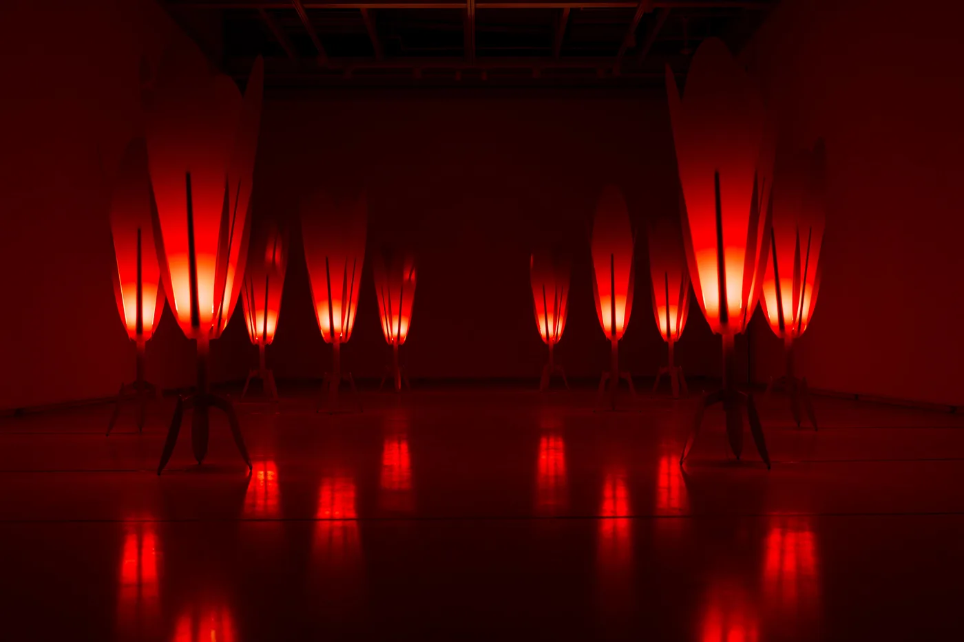 The tulip lamps glowing in darkness, reflected on the polished floor